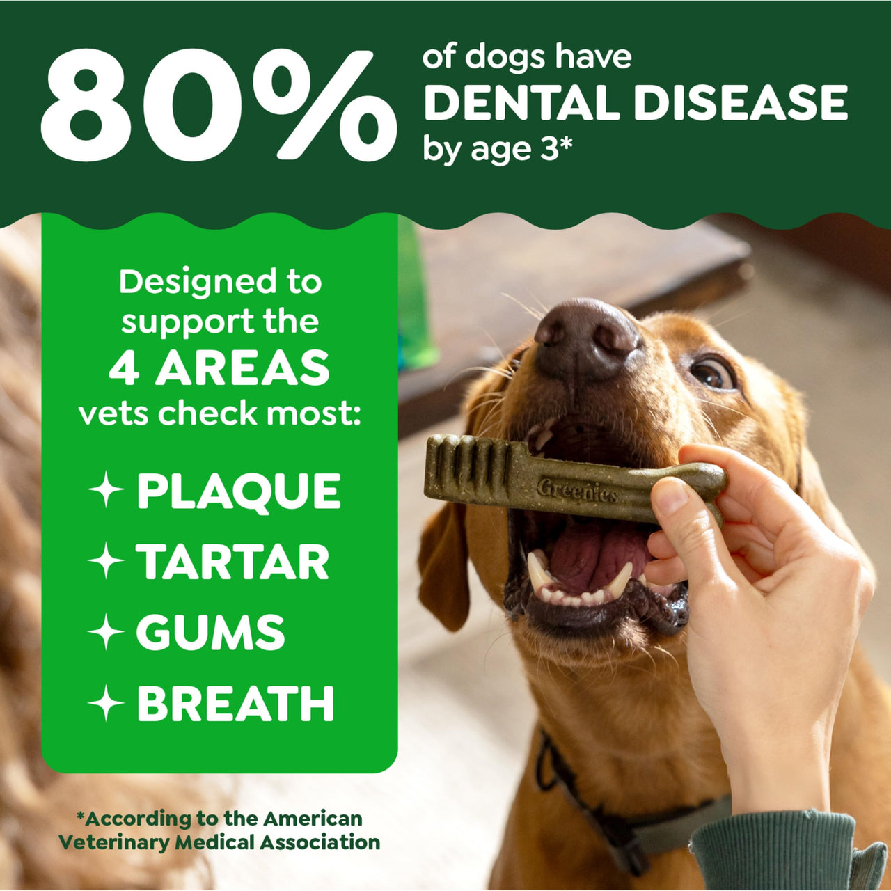 Greenies Veterinarian-Recommended Adult Natural Dental Dog Treats Petite Size, Dog Dental Chews, Original Flavor, 12 oz. Pack, 20 Count