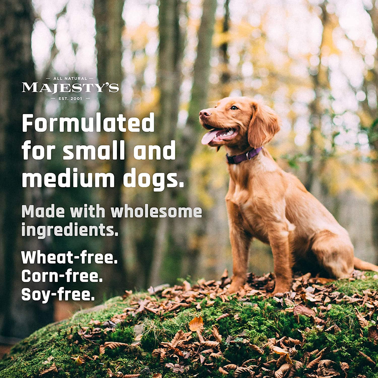 Majesty's Buddy Bites Hip and Joint Wafers for Medium / Large Dogs - Superior Support Supplement - Peanut Butter and Coconut Oil Flavored - 56 Count (Up To 8 Week Supply)
