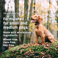 Thumbnail for Majesty's Buddy Bites Hip and Joint Wafers for Medium / Large Dogs - Superior Support Supplement - Peanut Butter and Coconut Oil Flavored - 56 Count (Up To 8 Week Supply)