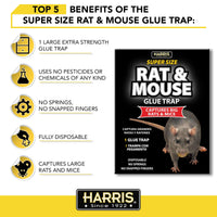 Thumbnail for Harris Toughest Rat Glue Trap (2/Pack)