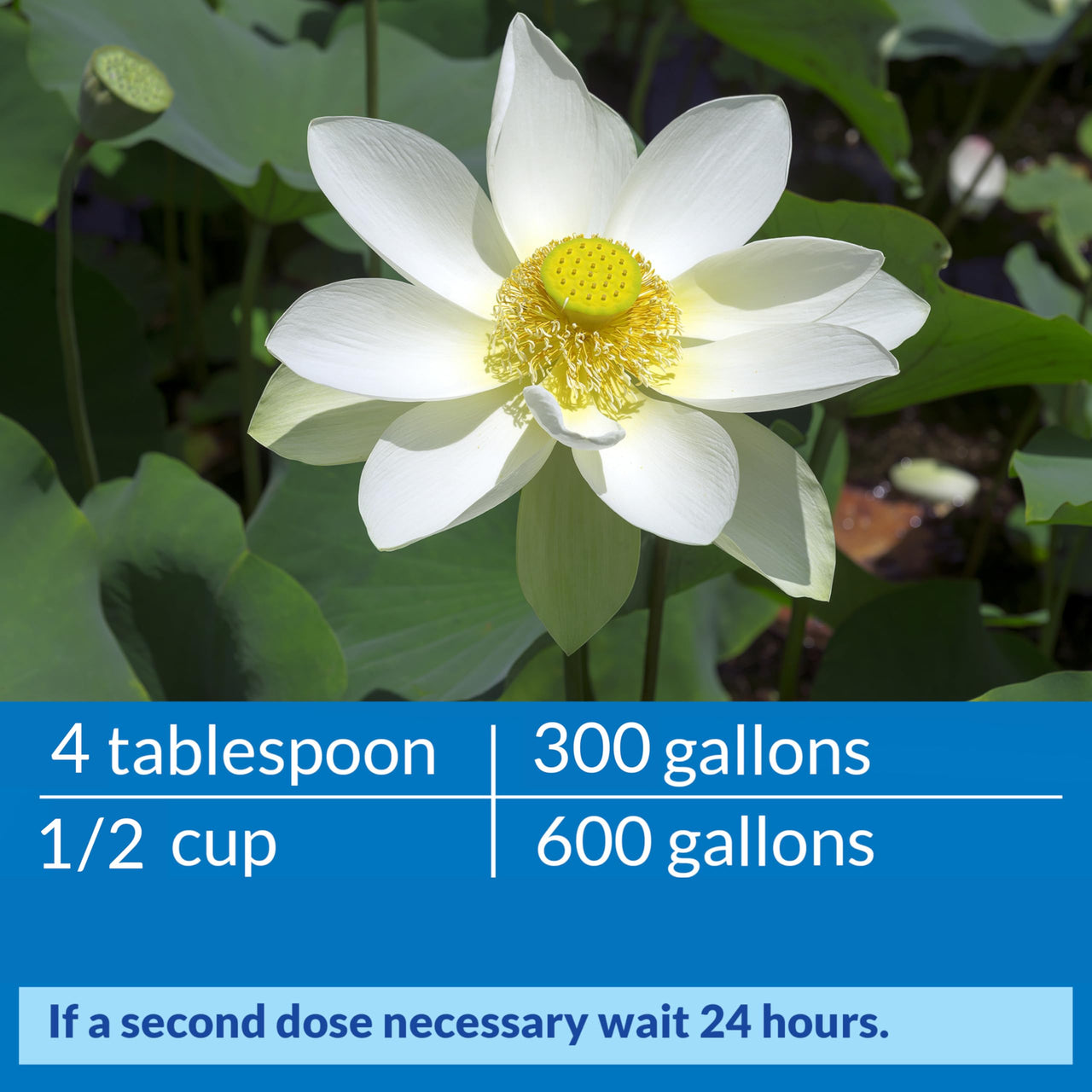 API POND ACCU-CLEAR Pond Water Clarifier 64-Ounce Bottle (142D)