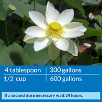 Thumbnail for API POND ACCU-CLEAR Pond Water Clarifier 32-Ounce Bottle