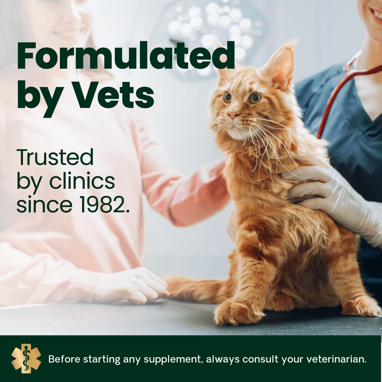 VetriScience Hairball Control Chews for Cats, Omega-3 and Fiber Supplement, Support Digestion and Skin and Coat, Tasty Small Bites, Chicken, 60 Count