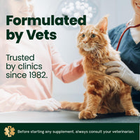Thumbnail for VetriScience Hairball Control Chews for Cats, Omega-3 and Fiber Supplement, Support Digestion and Skin and Coat, Tasty Small Bites, Chicken, 60 Count