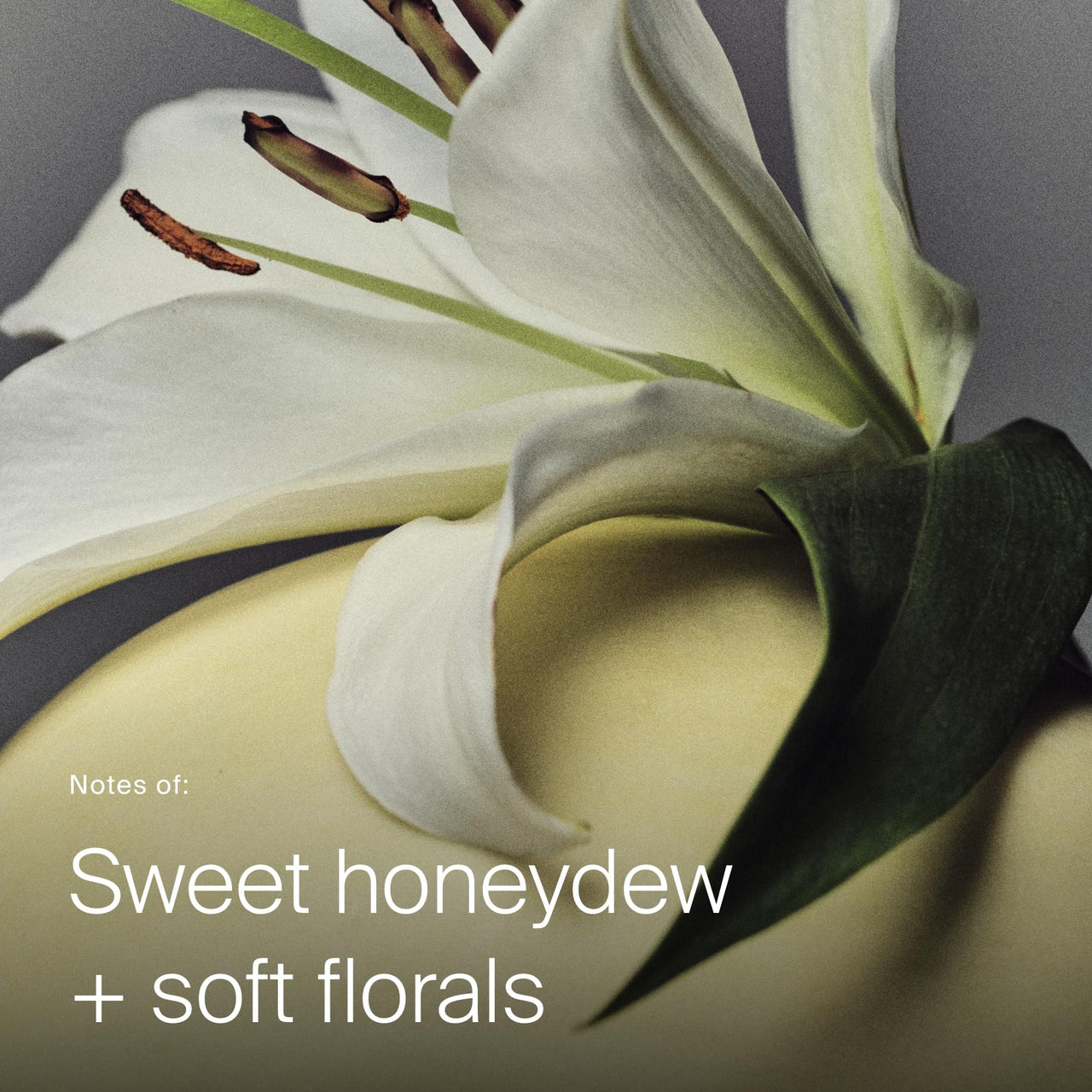 Living proof Full Dry Volume & Texture Spray – Instant Volume, Texture, Oil Absorption, Heat Protection, Lightweight Hold for Fine or Flat Hair, 7.5 oz