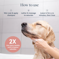 Thumbnail for Veterinary Formula Clinical Care Hot Spot & Itch Relief Medicated Shampoo for Dogs and Cats 16oz – Helps Alleviate Sensitive Skin, Scratching, and Licking of Coat