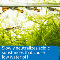 Thumbnail for API pH UP Freshwater Aquarium Water pH Raising Solution 16-Ounce Bottle
