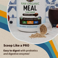 Thumbnail for Garden of Life Meal Replacement Shakes, Vegan Protein Powder, Raw Organic Protein Powder, Chocolate Protein Powder with Plant Based Pea Protein, Sprouts, Greens, Probiotics, Dairy Free 28 Servings