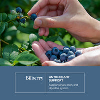Thumbnail for Eclectic Herb - Bilberry Capsules | Vision Health, Cardiovascular Support & Circulation | Superfood Vitamin & Mineral Supplement | Raw, Freeze Dried, Vegan, Non-GMO, Gluten Free (120 CT | 450 mg)
