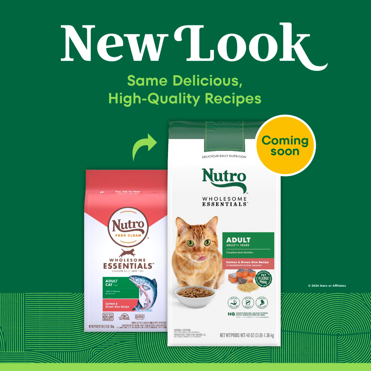 Nutro Wholesome Essentials Dry Cat Food, Adult Cat Food Dry Salmon & Brown Rice Recipe, 3 lb. Bag