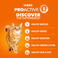 Thumbnail for IAMS Proactive Health Dry Cat Food, Healthy Cat Food Dry Recipe for Adults, with Chicken 3.5 lb. Bag