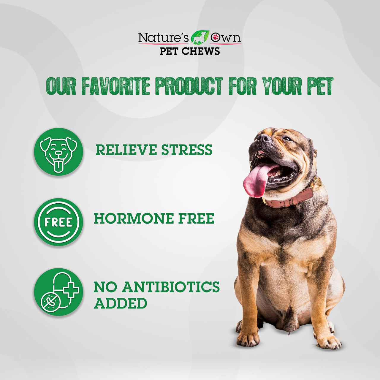 Nature's Own Pet Chews Doggy Bag Treat, 12 Piece - Nature's Own Healthy Pet Chews - Great for Teeth & Gums - Natural Protein Full of Vitamins & Minerals