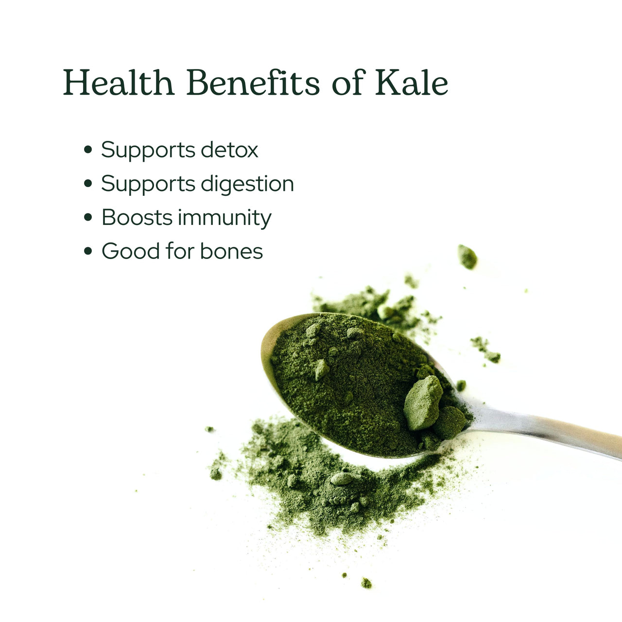 Eclectic Herb - Organic Kale Powder Supplement | Nutritional Support, Daily Fiber, Vitamins + Minerals | Superfood Powder + Daily Greens Drink Mix | USDA Organic, Non-GMO, Vegan (3.2 oz | 90 g)