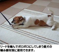 Thumbnail for Grannick's Bitter Apple for Dogs Spray Bottle, 16 Ounces, Golds & Yellows (1116AT)