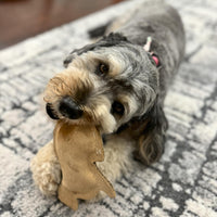 Thumbnail for SPOT Dura-Fused Leather Rabbit Dog Toy – Durable Real Leather & Jute Chew Toy with Squeaker, Double-Stitched for Moderate Chewers, Small & Medium Dogs, 7.5in