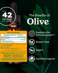 Thumbnail for Herb Pharm Certified Organic Olive Leaf Liquid Extract for Immune System Support - 1 Ounce