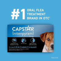 Thumbnail for Capstar (Nitenpyram) Fast-Acting Oral Flea Treatment for Dogs 2-25 Lbs, Vet-Recommended Medication Tablets, Flea Tablets for Dogs Start Killing in 30 Minutes, 6 Doses