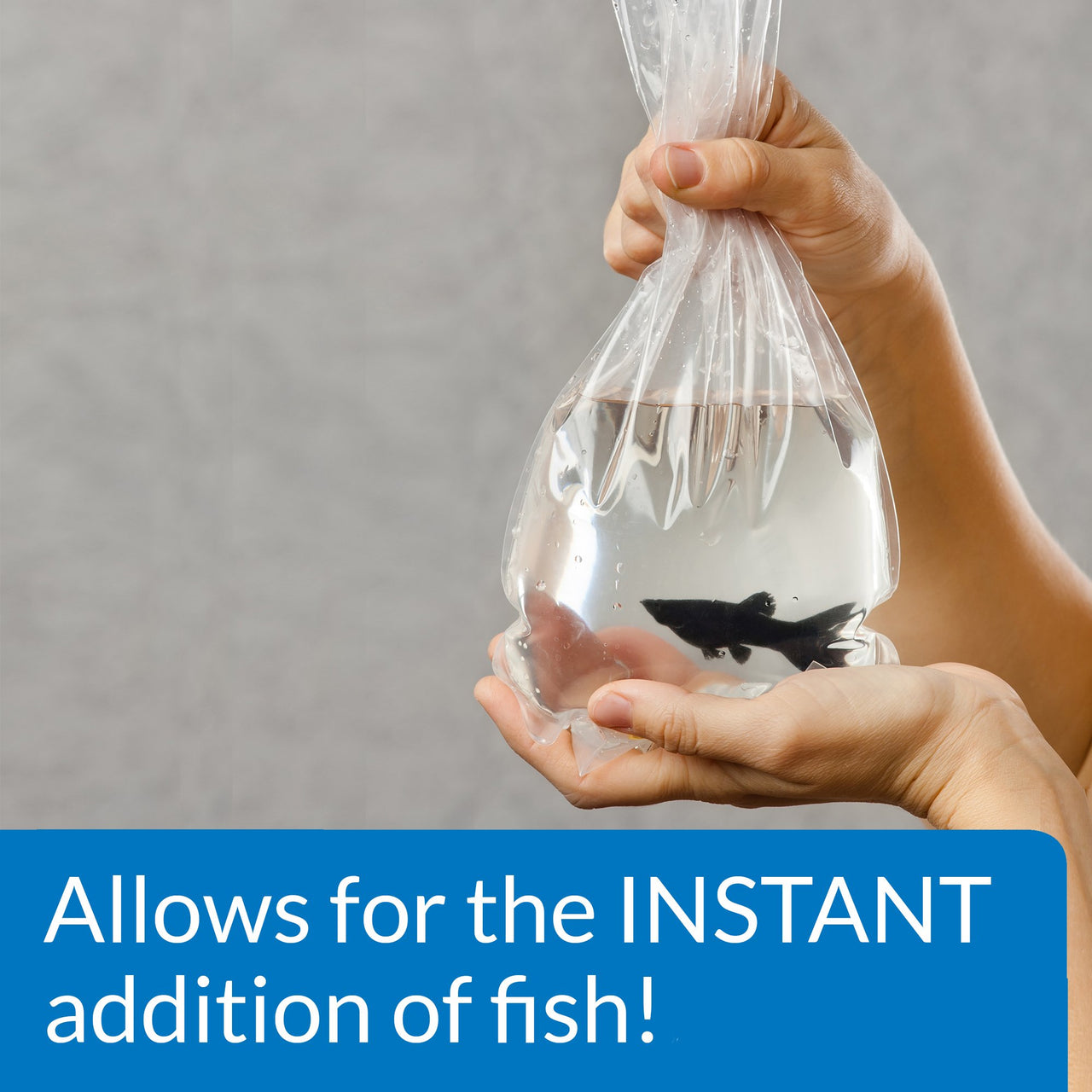 API QUICK START Freshwater and Saltwater Aquarium Nitrifying Bacteria 1-Ounce Bottle, Blues & Purples