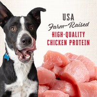 Thumbnail for Wholesomes Rewards Medium Original Biscuit Dog Treats 3 lb