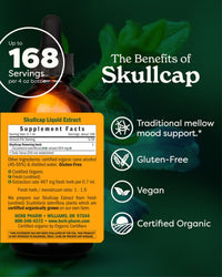 Thumbnail for Herb Pharm Certified Organic Skullcap Liquid Extract for Nervous System Support, Organic Cane Alcohol, 4 Ounce
