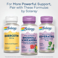 Thumbnail for SOLARAY Rhodiola Schizandra - Rhodiola Rosea Extract - Energy Support and Occasional Stress Relief Supplement - Vegan, Lab Verified, 60-Day Guarantee - 60 Servings, 60 VegCaps