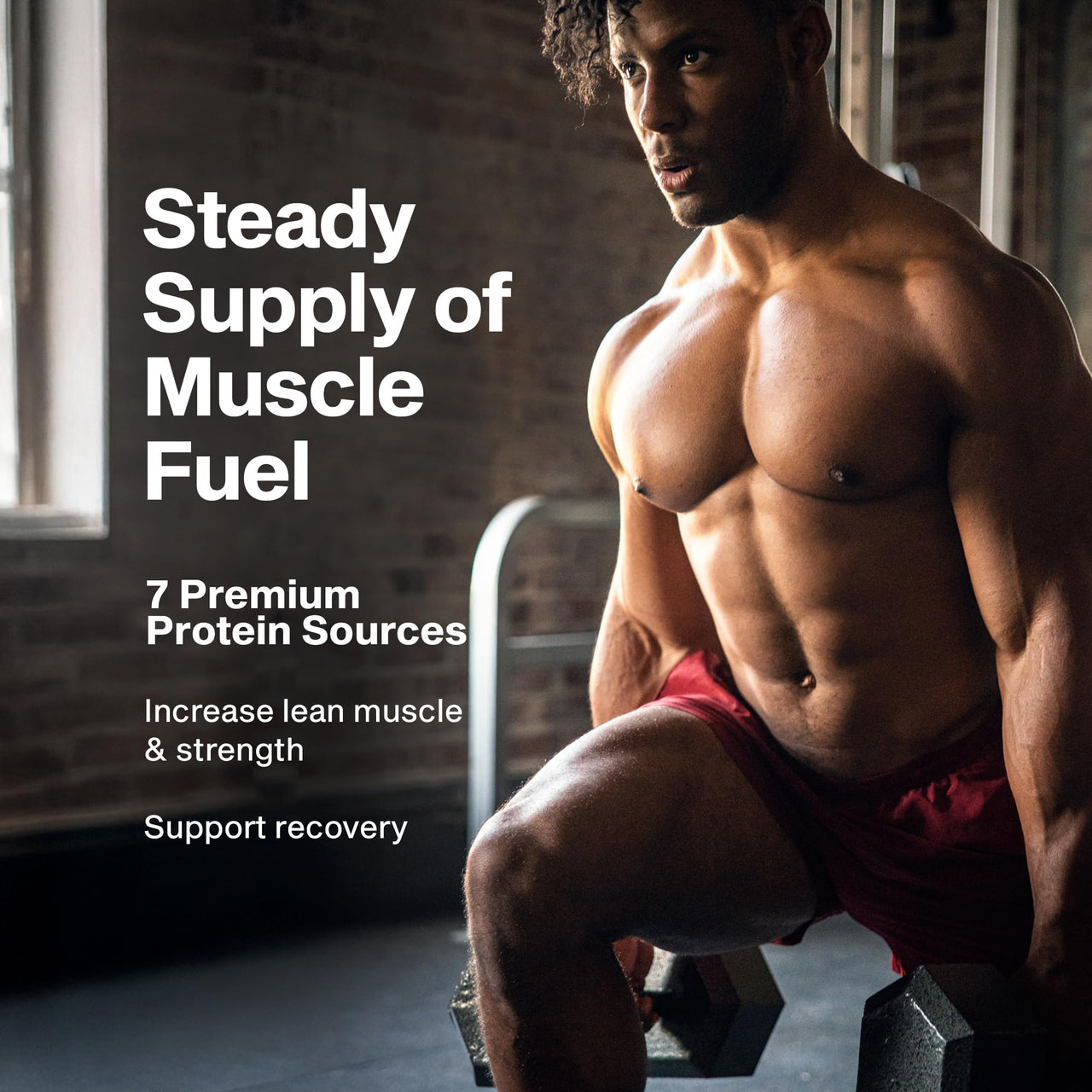 MuscleTech Platinum 8-Hour Protein Powder - 7 Premium Protein Sources with Whey & Casein Protein for Increased Lean Muscle, Strength & Improved Recovery - Vanilla Cake, 50 Servings