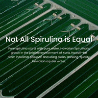 Thumbnail for Nutrex Hawaii Pure Hawaiian Spirulina Powder - Vegan Superfood, Farm Grown in Kona, Non-GMO, Immune Support & Cellular Energy, 5 Oz