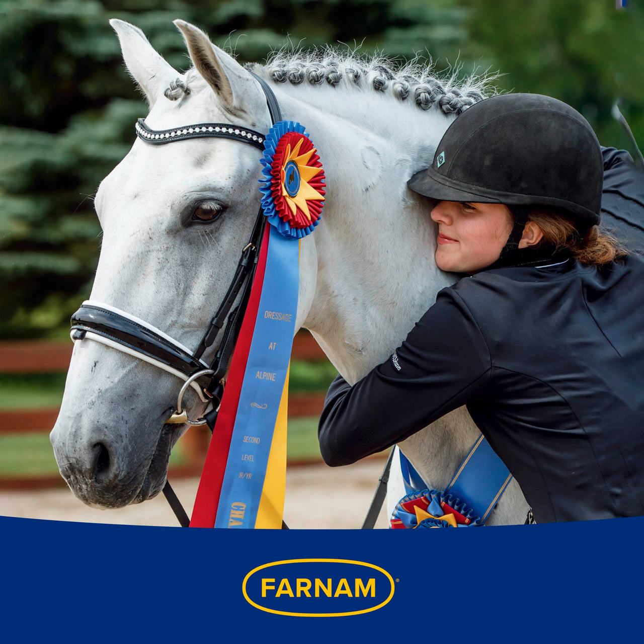 Farnam Laser Sheen Dazzling Shine and Detangler Concentrate for Horses, Repels Dirt and Stains, Makes 1 Gallon of Spray, 12 fluid ounces