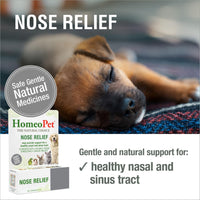 Thumbnail for HomeoPet Nose Relief, Safe and Natural Sinus Supplement for Cats, Dogs, and Other Small Animals, 15 Milliliters