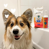 Thumbnail for earthbath, Mango Tango Grooming Wipes - Dog Wipes for Paws and Butt, Best Pet Wipes for Dogs & Cats, Made in USA, Cruelty-Free Dog Cleaning Wipes, Removes Dirt & Dander - 100 Count (1 Pack)