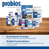 Thumbnail for Probios Digestive Support Probiotic for All Species, Probiotics for Gut Health, Dispersible Powder, 240 gm (Pack of 2)
