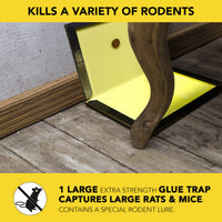 Thumbnail for Harris Toughest Rat Glue Trap (2/Pack)