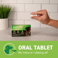 Thumbnail for Capstar for Dogs (nitenpyram), Fast-Acting Oral Flea Treatment for Dogs Over 25+ lbs, Vet-Recommended Flea Medication Tablets Start Killing in 30 Minutes, 6 Doses