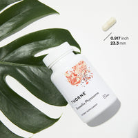 Thumbnail for THORNE - Boswellia Phytosome - Indian Frankincense (Boswellia Extract) Supplement - 60 Capsules