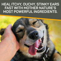 Thumbnail for Absorbine Silver Honey Rapid Ear Care Vet Strength Ear Cleaner + Infection Treatment, 10-Day Regimen for 1 Ear, Safe for Dogs & Cats, Medical Grade Manuka Honey & MicroSilver BG