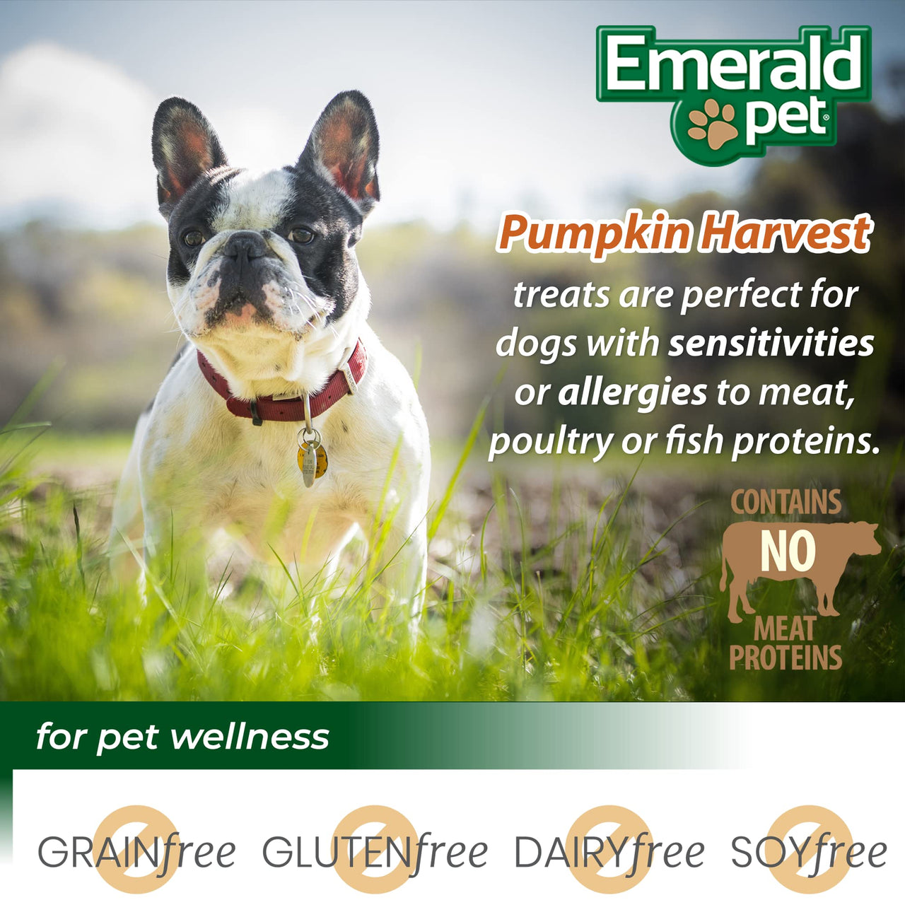 Emerald Pet Pumpkin Harvest Dog Treats — Low-Fat Chewy Natural Treats with Pumpkin for Digestive Health — Meat Free, Poultry Free, Wheat Free — Apple, 6 oz