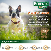 Thumbnail for Emerald Pet Pumpkin Harvest Dog Treats — Low-Fat Chewy Natural Treats with Pumpkin for Digestive Health — Meat Free, Poultry Free, Wheat Free — Apple, 6 oz