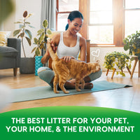 Thumbnail for Fresh News Recycled Paper Original Pellet Cat Litter, 25 Pound, Non-Clumping, Unscented, Made in USA