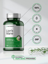 Thumbnail for Horbäach Lions Mane Mushroom Extract | 120 Capsules | Vegetarian, Non-GMO, Gluten Free Supplement