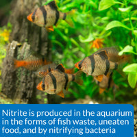 Thumbnail for API NITRITE TEST KIT 180-Test Freshwater and Saltwater Aquarium Test Kit