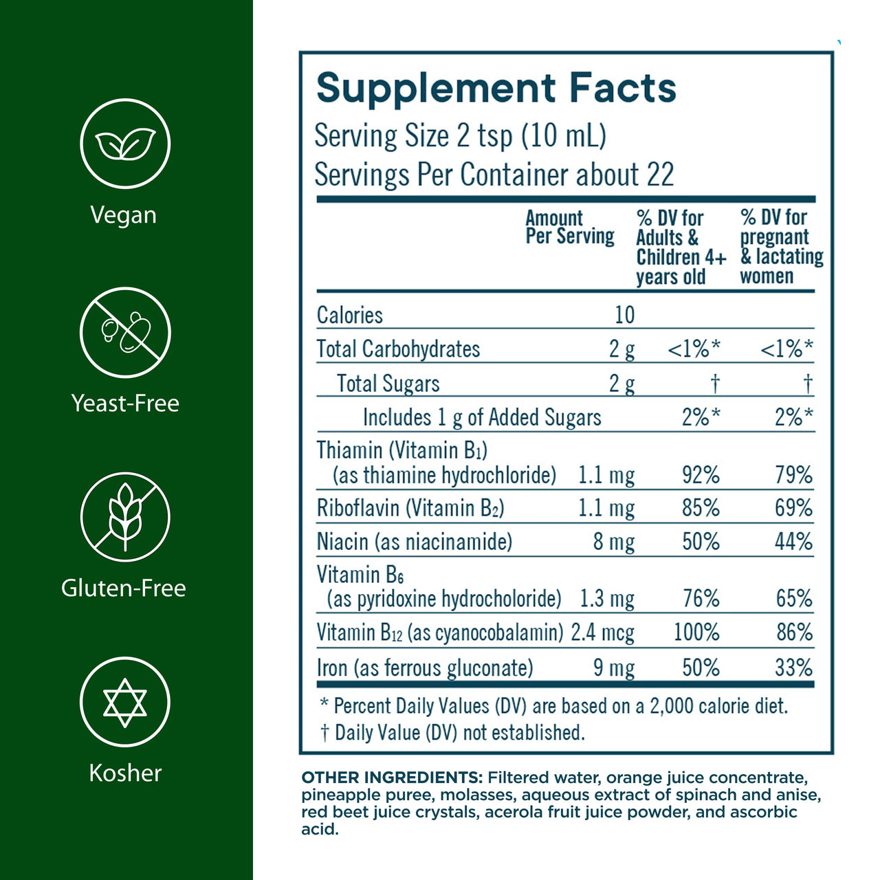 Flora Iron with B-Vitamin Complex - Helps Maintain Healthy Iron Levels - Non-Constipating, Highly Absorbable - Vitamin-B & Liquid Iron - Vegan Supplement - Yeast & Gluten Free, 7.7-oz. Glass Bottle