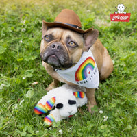 Thumbnail for Multipet Lamb Chop Dog Plush Toy w/Birthday Hat - Squeaky Toy for All Dogs - Extra Soft Plush - Stuffed Animal for Cuddling & Playing (10.5