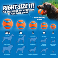 Thumbnail for Chuckit! Ultra Ball Dog Toy - Medium Bouncy Fetch Balls For Dogs 20-60 lbs - Made from Durable Rubber - Floating Water Pet Toys - Size Medium - 2.5-inch Diameter - Pack of 2
