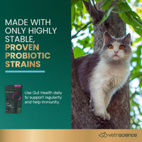 Thumbnail for VetriScience Gut Health Chews, Probiotic Everyday Digestive Supplement for Cats, Pet Probiotics for Digestion Support, Gas and Diarrhea, Immune Support, 120 Million CFU Per Chew, Duck, 60 Count