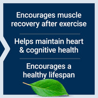 Thumbnail for Life Extension Taurine, Pure Taurine Amino Acid Supplement, Heart, Liver and Brain Health, Longevity, Muscle and Exercise, 1000 mg dose, Non-GMO, Gluten-Free, Vegetarian, 90 Vegetarian Capsules