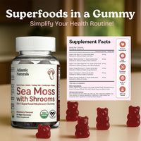 Thumbnail for Atlantic Naturals Sea Moss Gummies with Lions Mane Mushroom | Sea Moss Gel Alternative with Irish Sea Moss Reishi, Cordyceps Chaga & Turkey Tail Supplement | Helps Immunity Energy & Focus | 60 Gummies