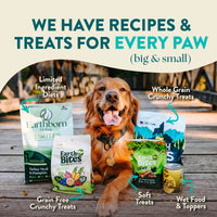 Thumbnail for Earthborn Holistic Coastal Catch Herring Meal & Vegetables Grain-Free Dry Dog Food 4 lb