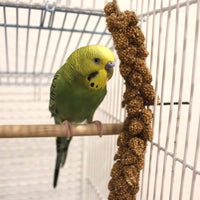 Thumbnail for Sun Seed Company Millet Spray 4oz