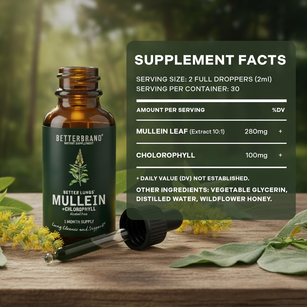 Betterbrand Mullein Drops for Lung Detox - Mullein Leaf Tincture with Chlorophyll - Helps Support Respiratory Health, Alcohol-Free, 1 Month Supply - 60ml