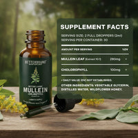 Thumbnail for Betterbrand Mullein Drops for Lung Detox - Mullein Leaf Tincture with Chlorophyll - Helps Support Respiratory Health, Alcohol-Free, 1 Month Supply - 60ml